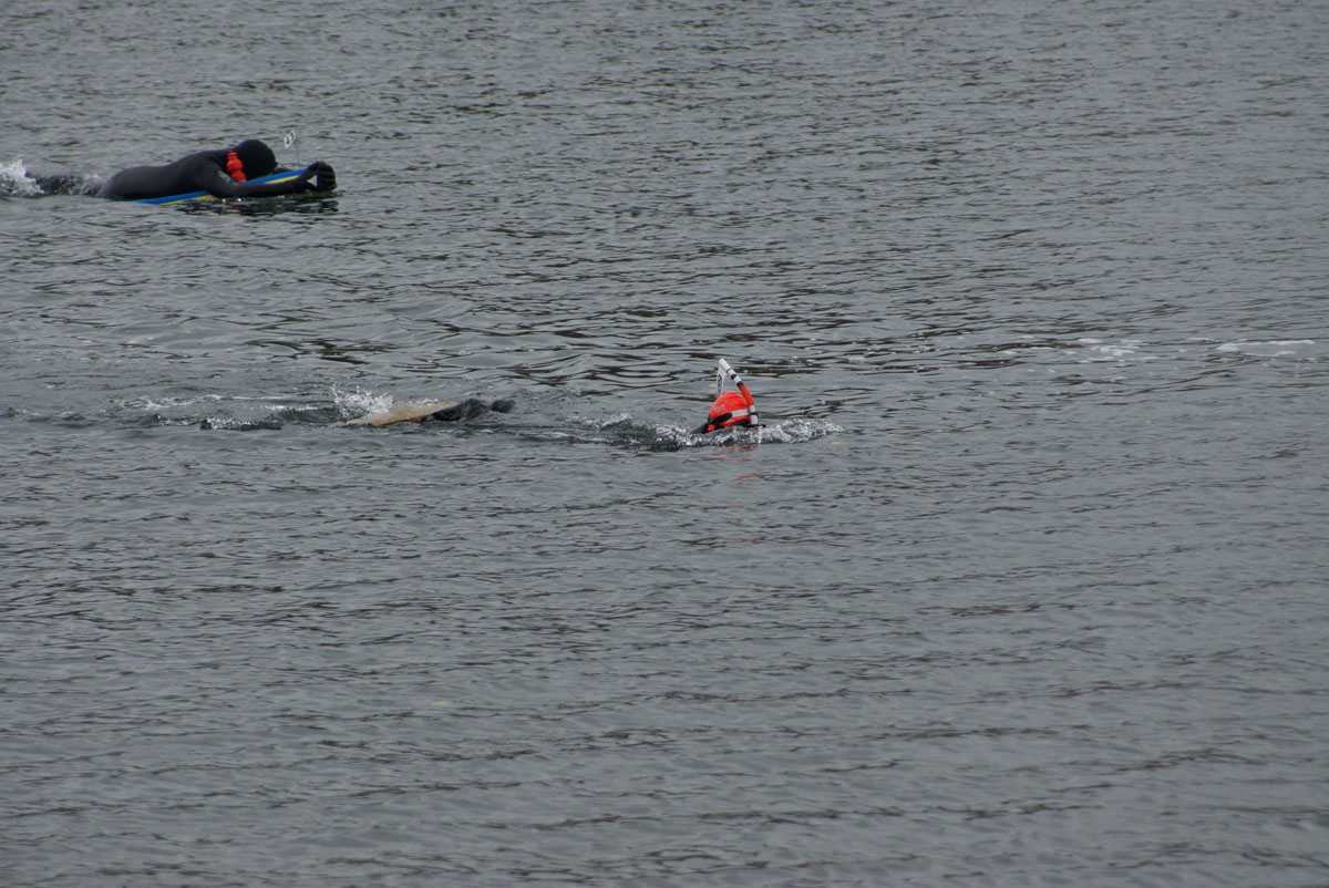 DSC02767r