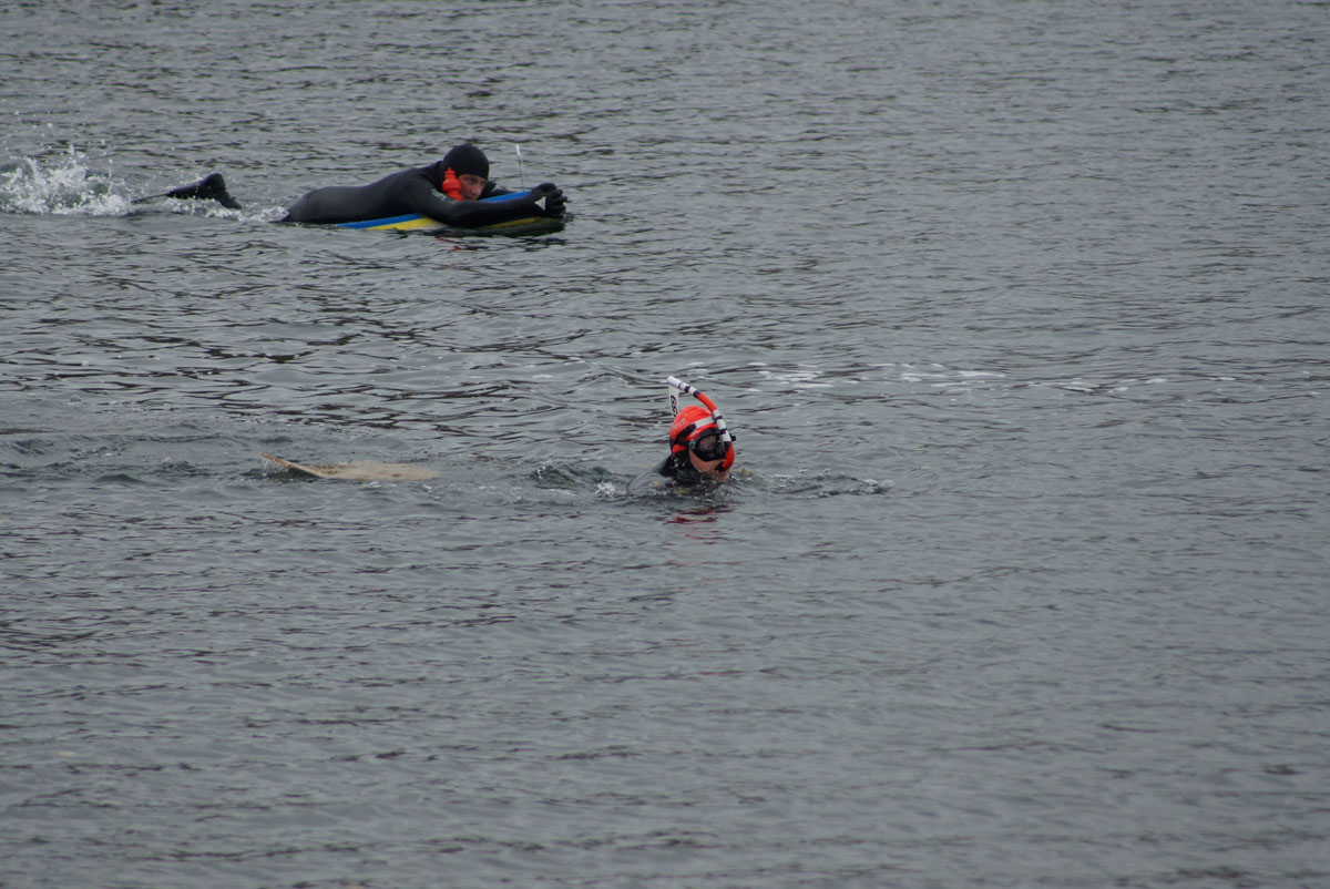 DSC02769r