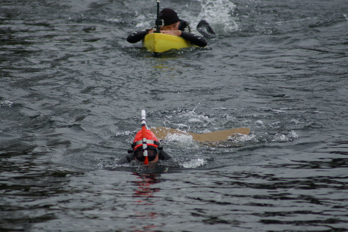 DSC02776r
